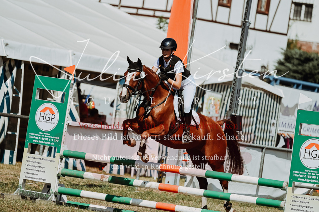 DSC_9941 | Pferde- und Turnierfotografie in Westsachsen. Pferdeportraits, Auftragszeichnungen und intuitive Kunst.