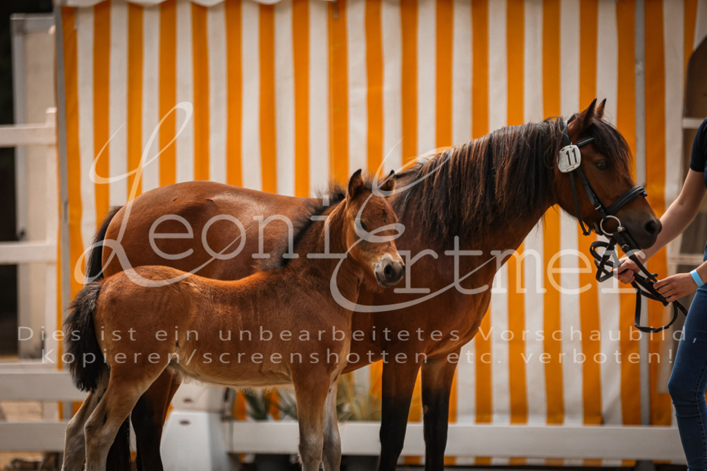 02.DoSR00121 | Leoni Ertmer Photography - Realisiert mit Pictrs.com