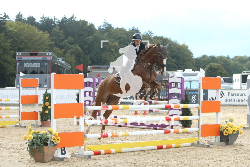 DL2Q7326 | Willkommen bei Brunnmayr - Design & Fotografie – Ihrem Spezialisten für Reitturniere und Pferdeveranstaltungen in Oberösterreich, Salzburg und Bayern! Seit über 17 Jahren sind wir leidenschaftlich dabei.