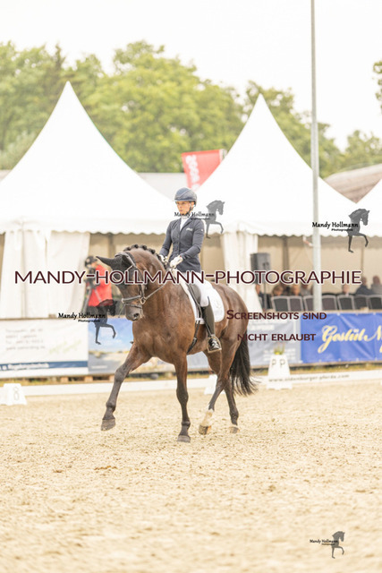 SW 4-964 | mandyhollmannphotographie