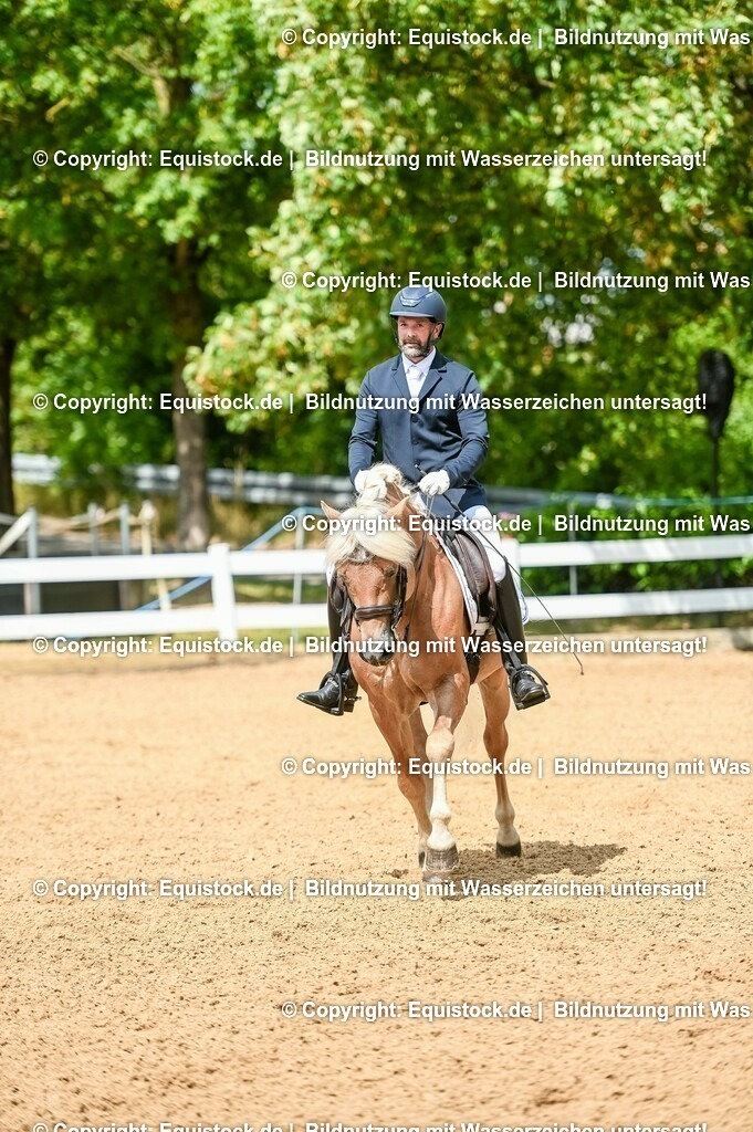 20230716_01_Dressurprüfung Kl.M_0149 | equistock