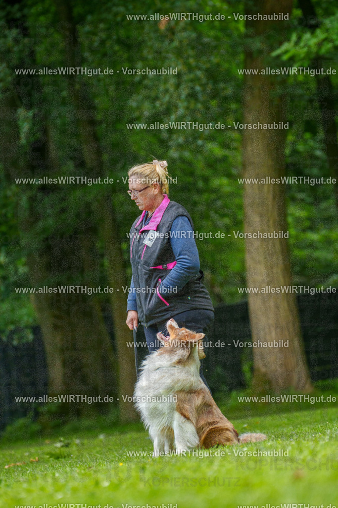 @allesWIRTHgut_Tierfotografie - www.allesWIRTHgut.de - 7R501198 | Professionelle Tierfotografie in Mönchengladbach von Daniel Wirth (allesWIRTHgut). Liebevolle & natürliche Bilder von Hunden & Katzen für unvergessliche Erinnerungen.