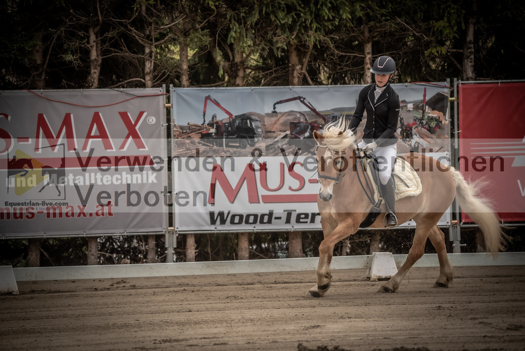 DSC_8088 | equestrian-live-com