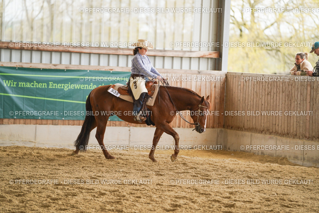 DSC09343 | Pferdegrafie