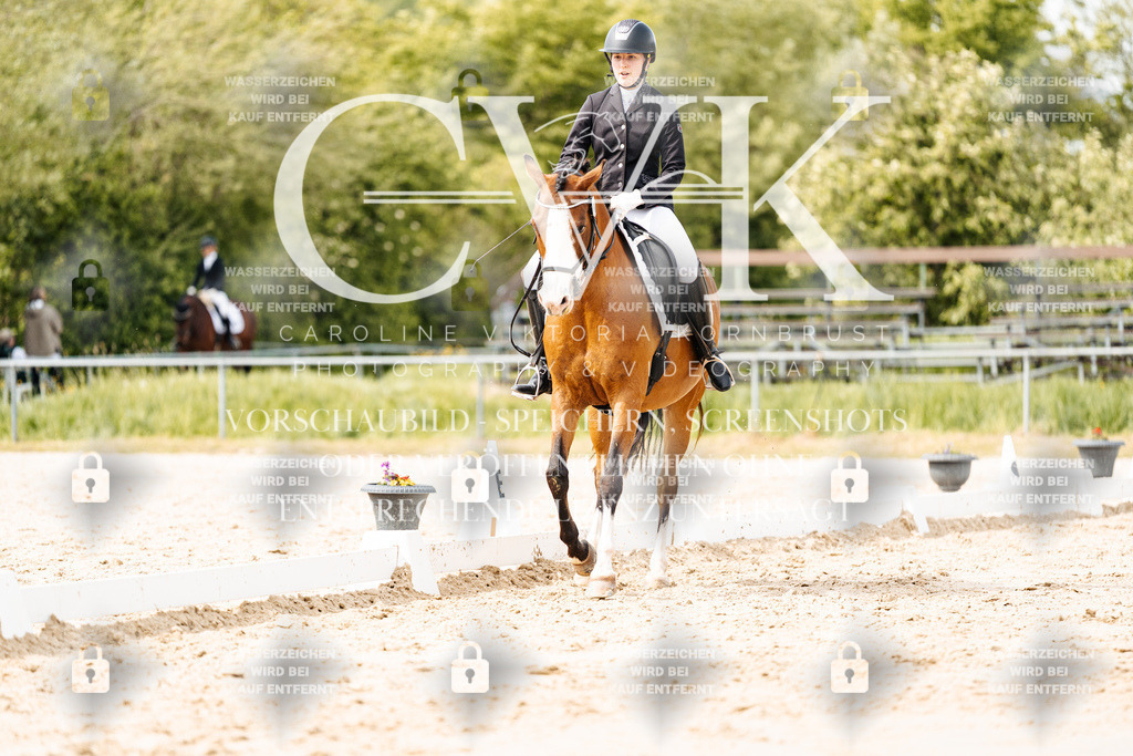 CK901272 | Turnierfotografie Pferdefotografie Trier Rheinland-Pfalz Pferdesport Reitsport Tierfotografie Sportfotografie Pferdevideo Pferdevideografie Equestrianvideography equestrianphotography  - Realisiert mit Pictrs.com