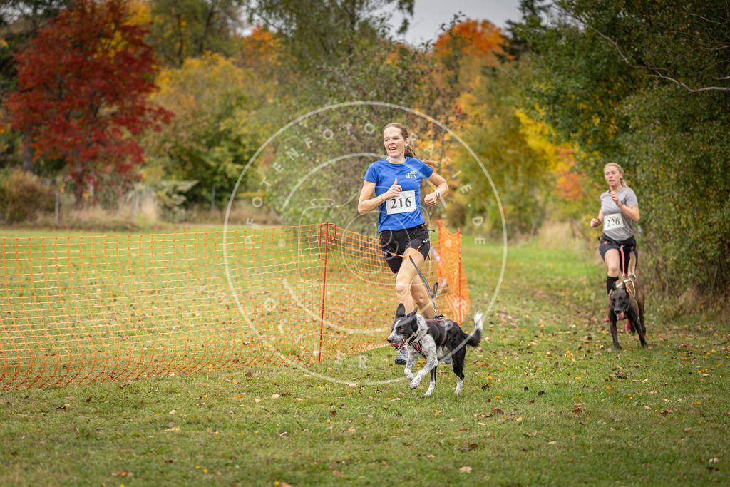 Pfotenfotografie_DV3A4630 | Hundefotografie, Tierfotograf, Pfotenfotografie, Fotoshooting Hund, Hunde Portrait, Hundesport, Hundeportraits, Heideshooting, Hunde, Sportfotograf, Hundefotograf, Turnierhundsport, THS,  - Realisiert mit Pictrs.com