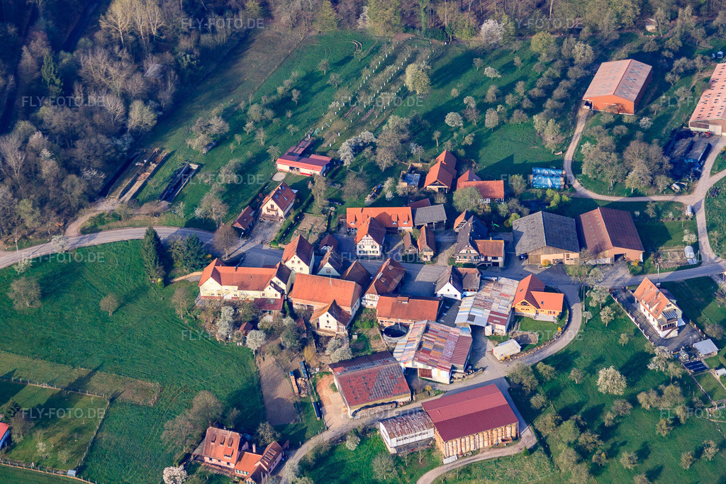 Luftbild: Ortsteil Pfaffenbronn in Lembach im Bundesland Bas-Rhin in Frankreich.Foto: IMG_63674.jpg vom 30.03.2014 durch Werner Riehm/FLY-FOTO.deAuflösung des Originals: 4604 x 3069 px