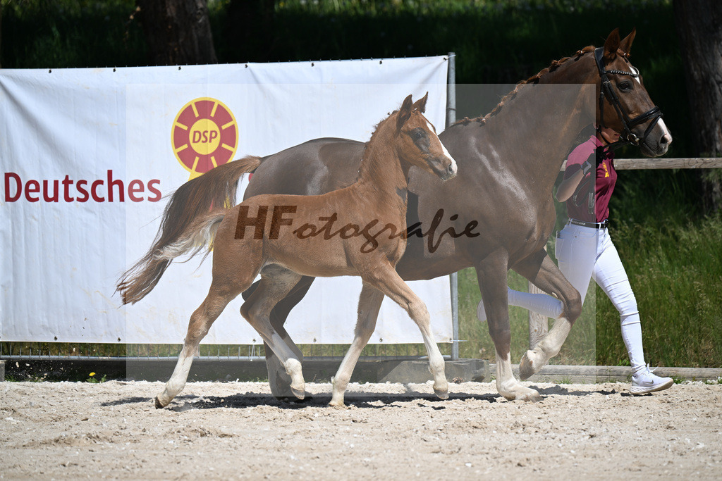 Don Schufro x Don Massimo_HF_Aumer_10250126 | hf-fotografie - Realizzato con Pictrs.com