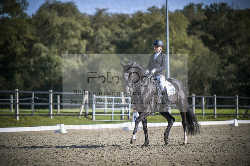 DOS_2847 | Entdecke hochwertige Reitturnierfotos von Foto Oger. Professionell, emotional und authentisch – jetzt Lieblingsmomente im Shop bestellen.Deutschlandweite Turnierfotografie. - Realisiert mit Pictrs.com