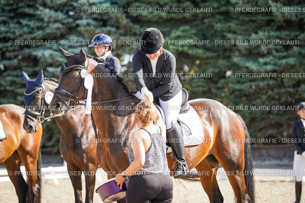 DSC00119 | Pferdegrafie