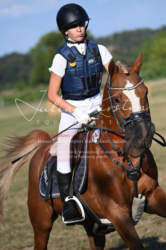DSC_9081 | Pferde- und Turnierfotografie in Westsachsen. Pferdeportraits, Auftragszeichnungen und intuitive Kunst.