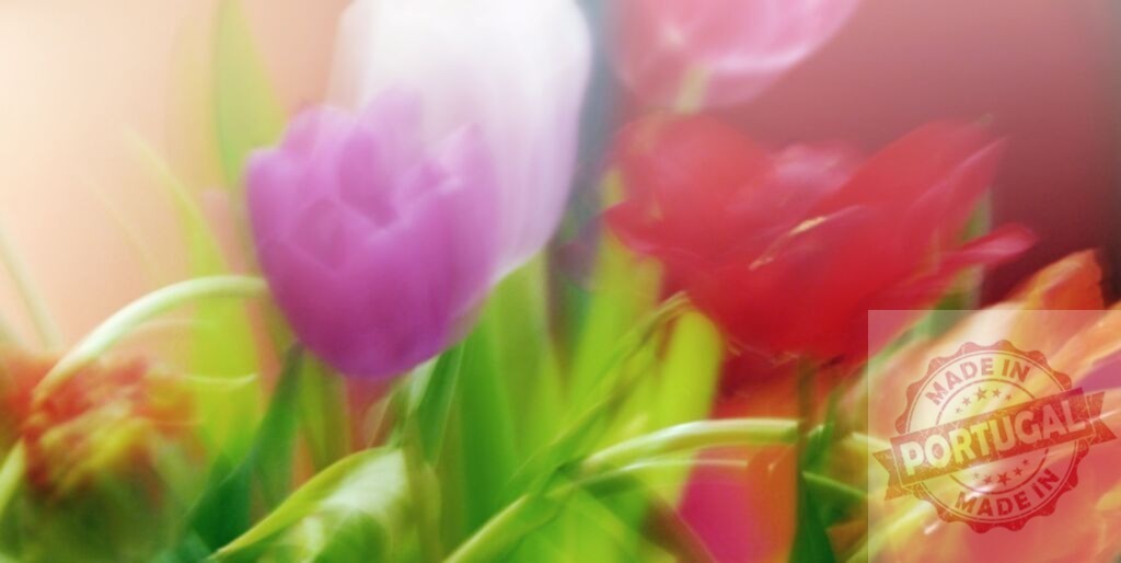 Colorful tulips creating a beautiful bouquet with motion blur effect | Blurred colorful tulips create a beautiful bouquet, perfect for spring and floral-themed projects - Realisiert mit Pictrs.com