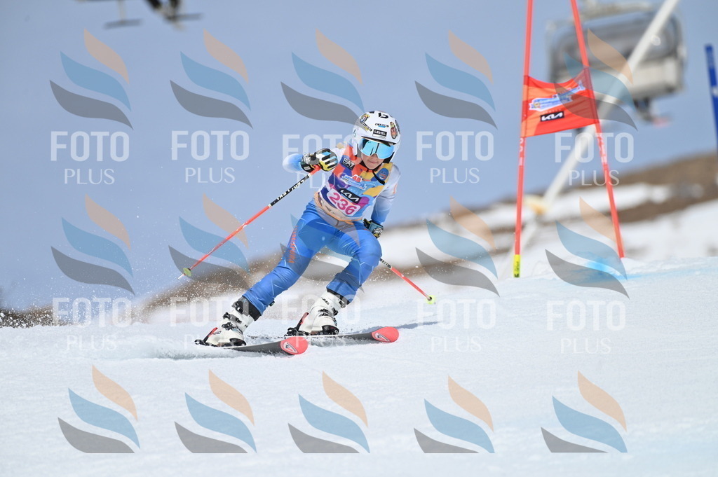 BGV_1616 | holidayphoto