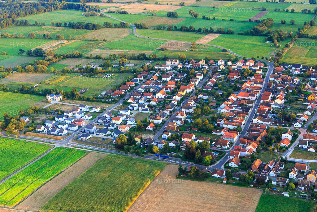 Luftbild: Gartenstraße und Holzgasse in Minfeld im Bundesland Rheinland-Pfalz in Deutschland. Foto: IMG_094502.jpg vom 01.09.2016 durch Werner Riehm/FLY-FOTO.de
