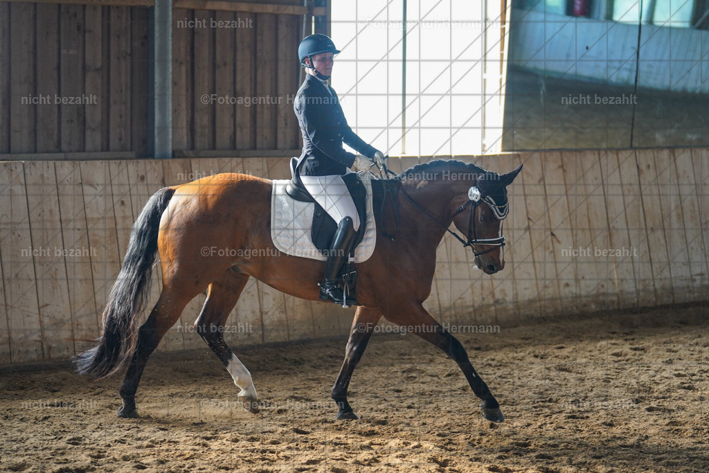 20230917-FAH09964 | Landsberg am Lech, 2023, Kaufbeuren, Kempten, Allgäu, Turnierfotografen Bayern, Fotoagentur Herrmann, Turnierbilder, Reitsport Fotos, Pferdefotograf, Augsburg, Bad Tölz, Dachau, Karlsfeld, Memmingen, Buchloe, Schwabmünchen