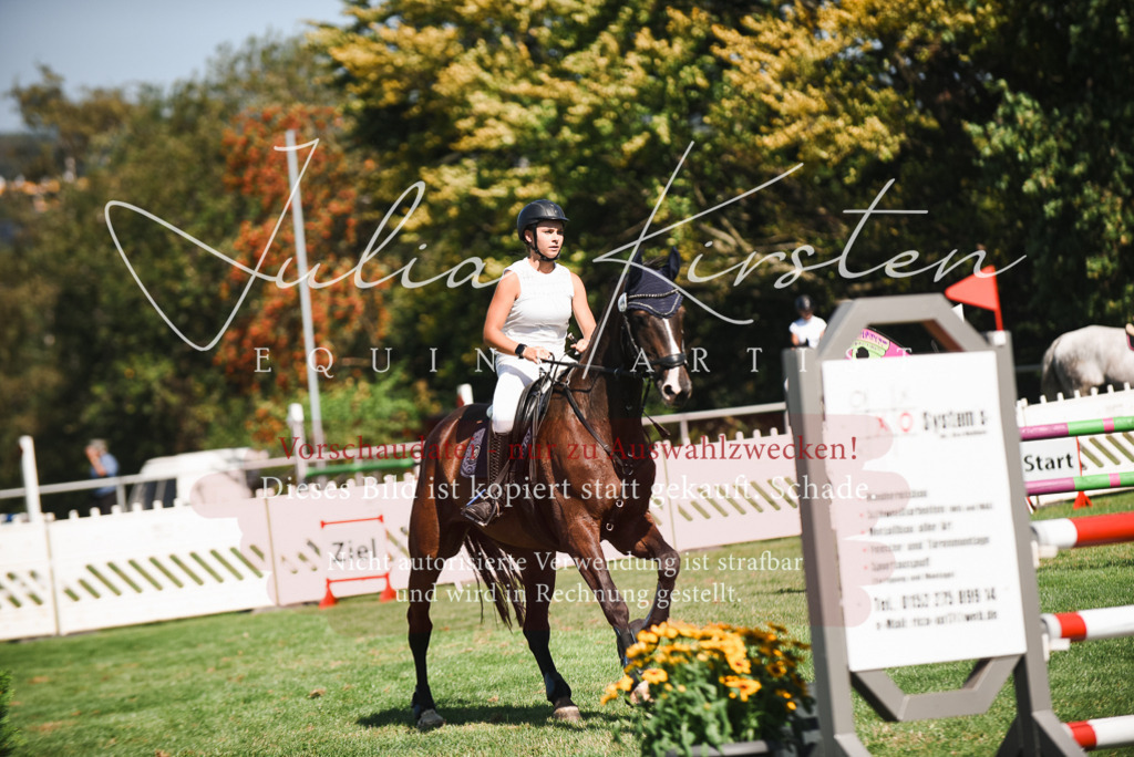 DSC_2862 | Pferde- und Turnierfotografie in Westsachsen. Pferdeportraits, Auftragszeichnungen und intuitive Kunst.