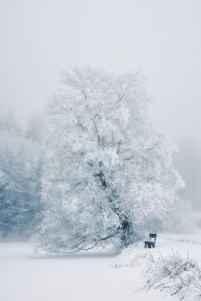 Winterzauber | Art by Birgit Fotografie - Realisiert mit Pictrs.com