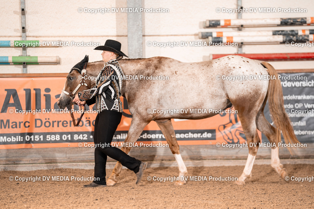 LM Heiligenwald Tag 1-42 | dv-media-shop - Realisiert mit Pictrs.com