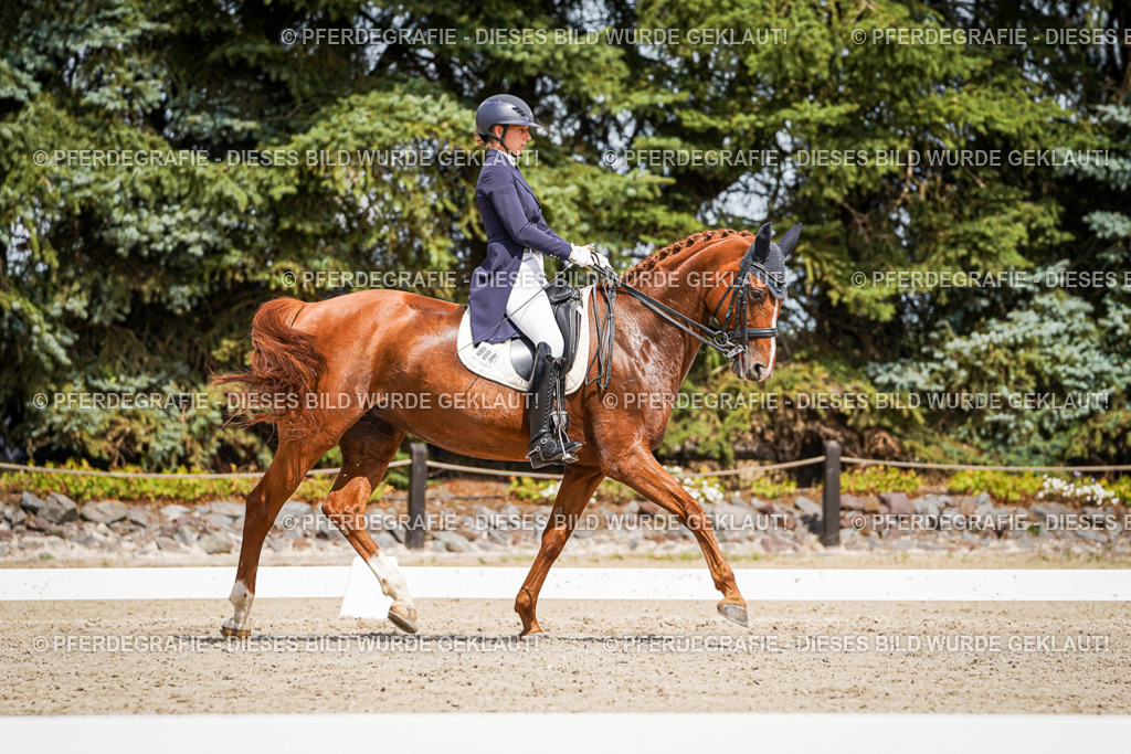 DSC06316 | Pferdegrafie