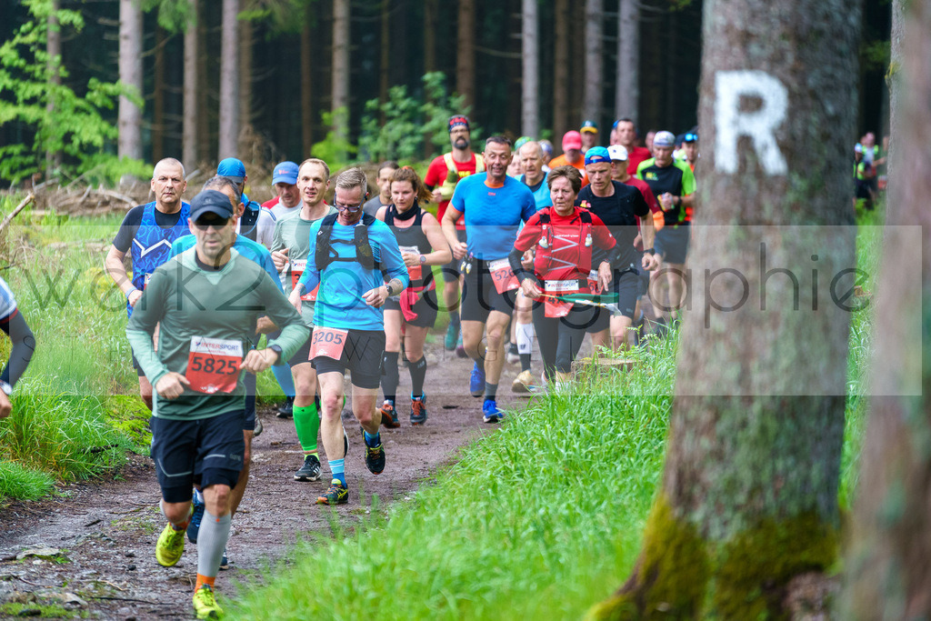 Rennsteiglauf Marathon 2024 | 25. Mai 2024 - 42,2 km von Neuhaus nach Schmiedefeld