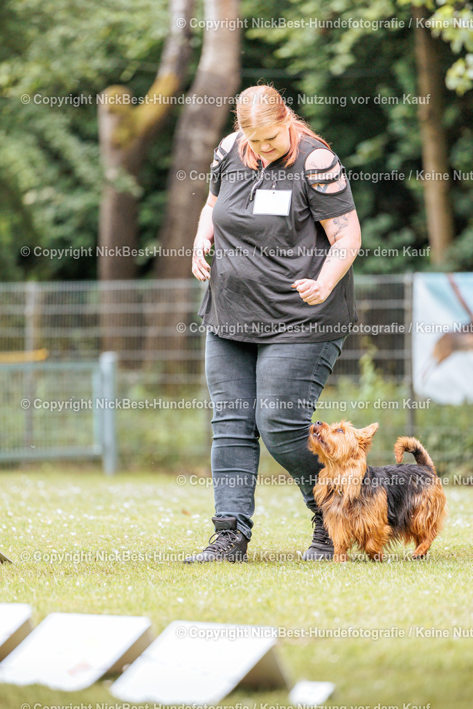 RO-Blumenthal-2026-Nickbest-Hundefotografie-2159 | Dein Hund! Dein Moment! Deine Erinnerungen! Hundefotografie in Bremen Blumenthal. Ich fange die besonderen Momente deines Vierbeiners ein – ob Indoor mit Blitzanlage oder in der freien Natur. Sicher dir dein Moment und dein Termin für eure Erinnerungen.
