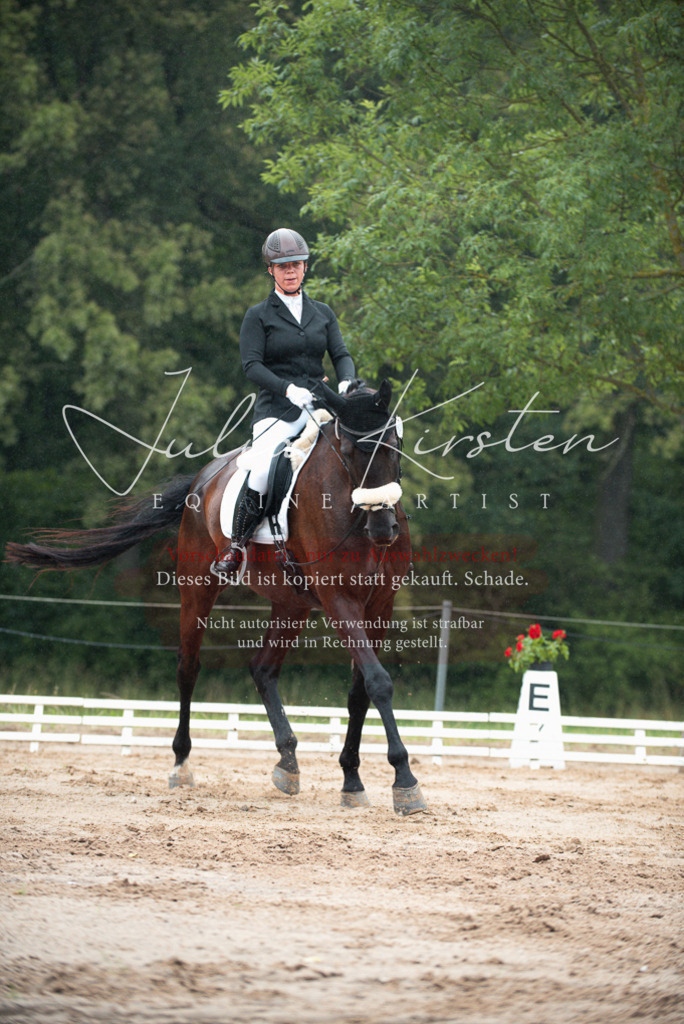 DSC_9714 | Pferde- und Turnierfotografie in Westsachsen. Pferdeportraits, Auftragszeichnungen und intuitive Kunst.