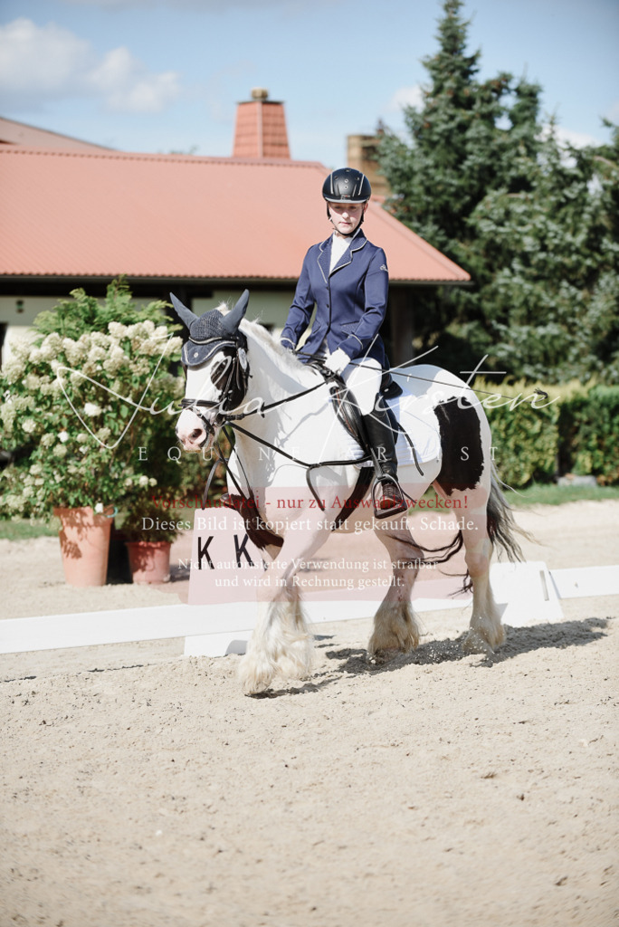 DSC_0050 | Pferde- und Turnierfotografie in Westsachsen. Pferdeportraits, Auftragszeichnungen und intuitive Kunst.