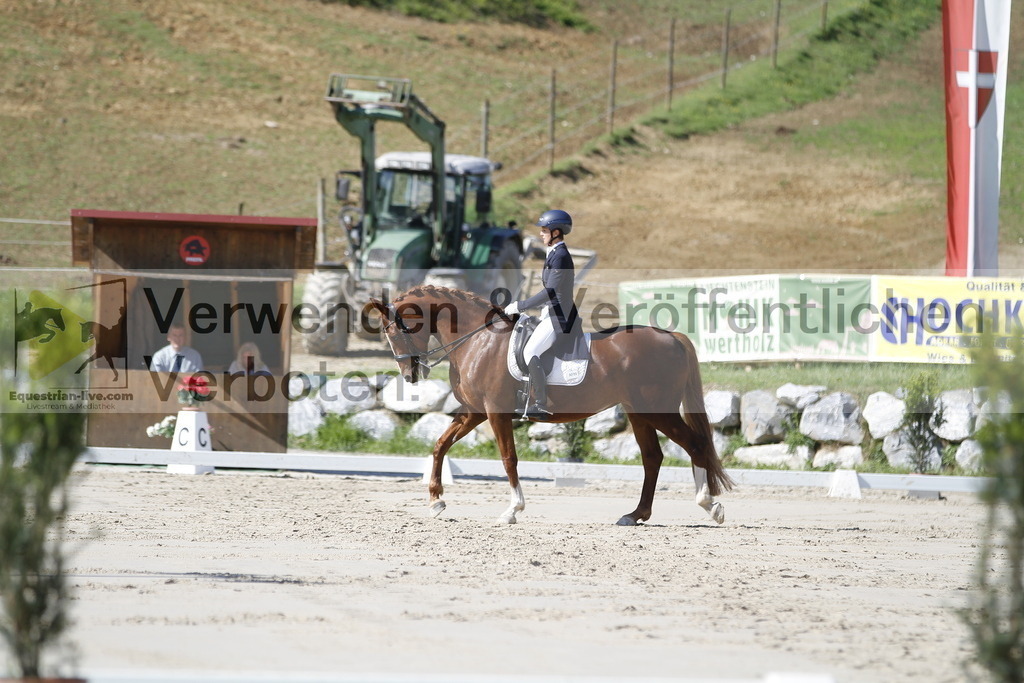 _MG_2938 | equestrian-live-com