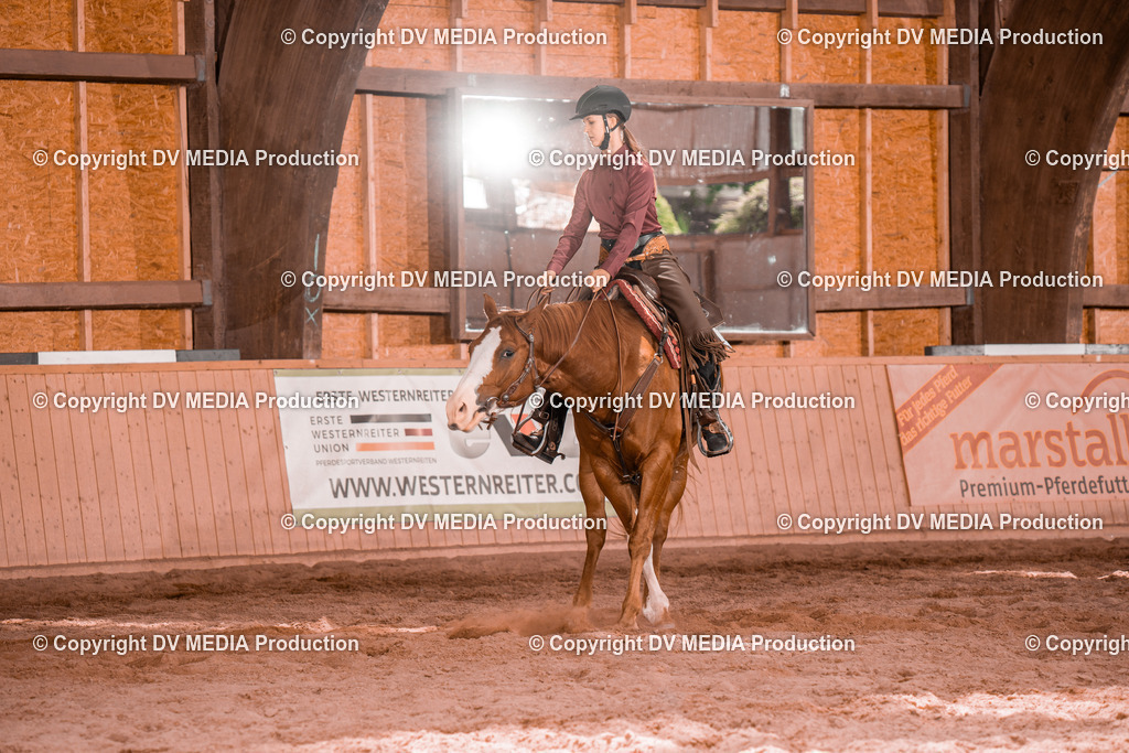 NE200742 | dv-media-shop - Realisiert mit Pictrs.com