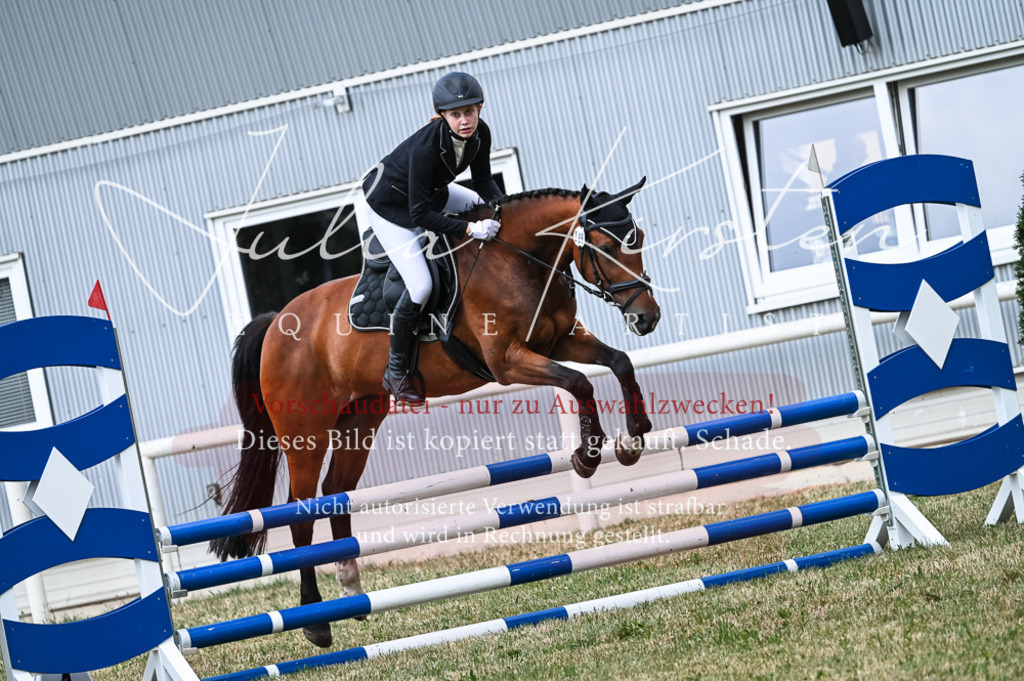 DSC_9021 | Pferde- und Turnierfotografie in Westsachsen. Pferdeportraits, Auftragszeichnungen und intuitive Kunst.