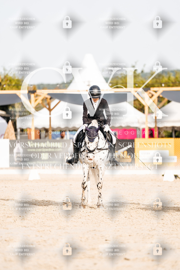 CK904470 | Turnierfotografie Pferdefotografie Trier Rheinland-Pfalz Pferdesport Reitsport Tierfotografie Sportfotografie Pferdevideo Pferdevideografie Equestrianvideography equestrianphotography  - Realisiert mit Pictrs.com