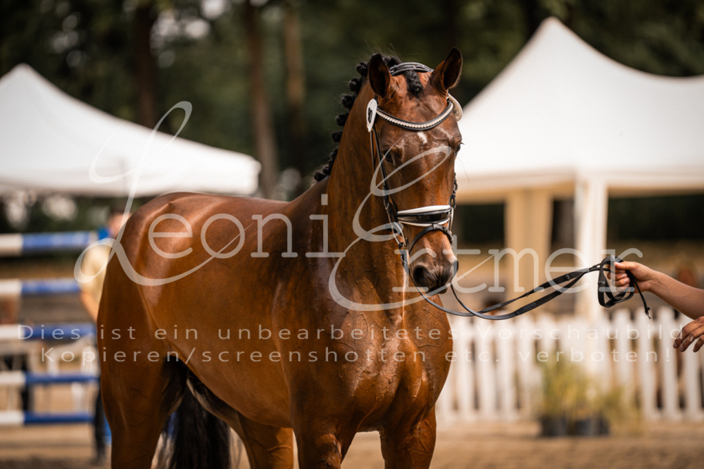 6.Fr00172 | Leoni Ertmer Photography - Realisiert mit Pictrs.com