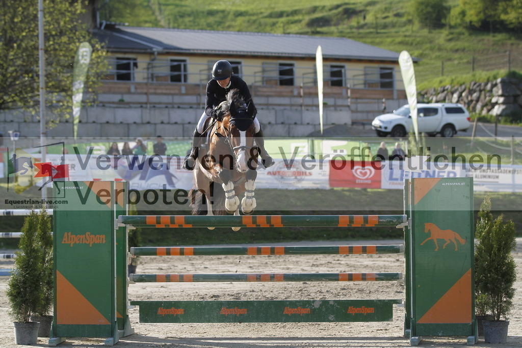 _MG_1550 | equestrian-live-com