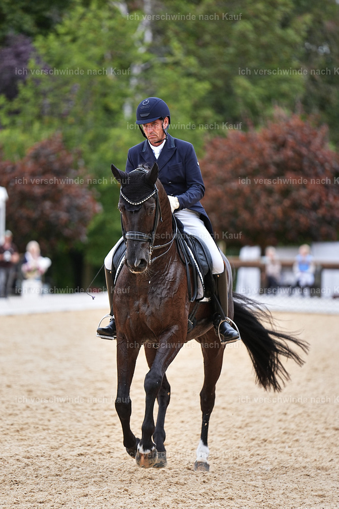 11-058-Dressur S___-Marixx-1489 | working equitationturnier fotograf videograf stoibphotography marixx film working equitation deutschland reitsport turnierfotografie eventfotografie equestrian events