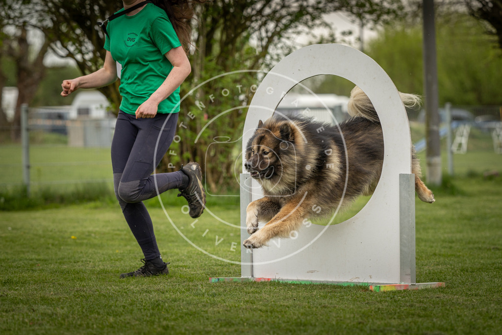 Pfotenfotografie_DV3A2952 | Hundefotografie, Tierfotograf, Pfotenfotografie, Fotoshooting Hund, Hunde Portrait, Hundesport, Hundeportraits, Heideshooting, Hunde, Sportfotograf, Hundefotograf, Turnierhundsport, THS,  - Realisiert mit Pictrs.com