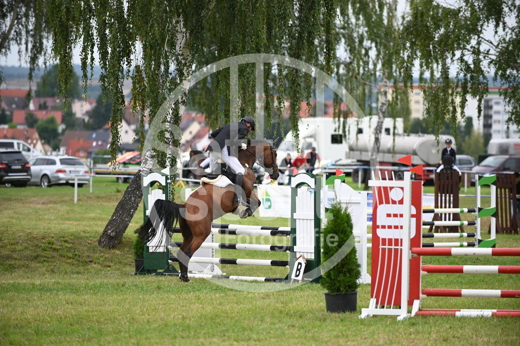 DSC_1210 | sattelsport - Realisiert mit Pictrs.com