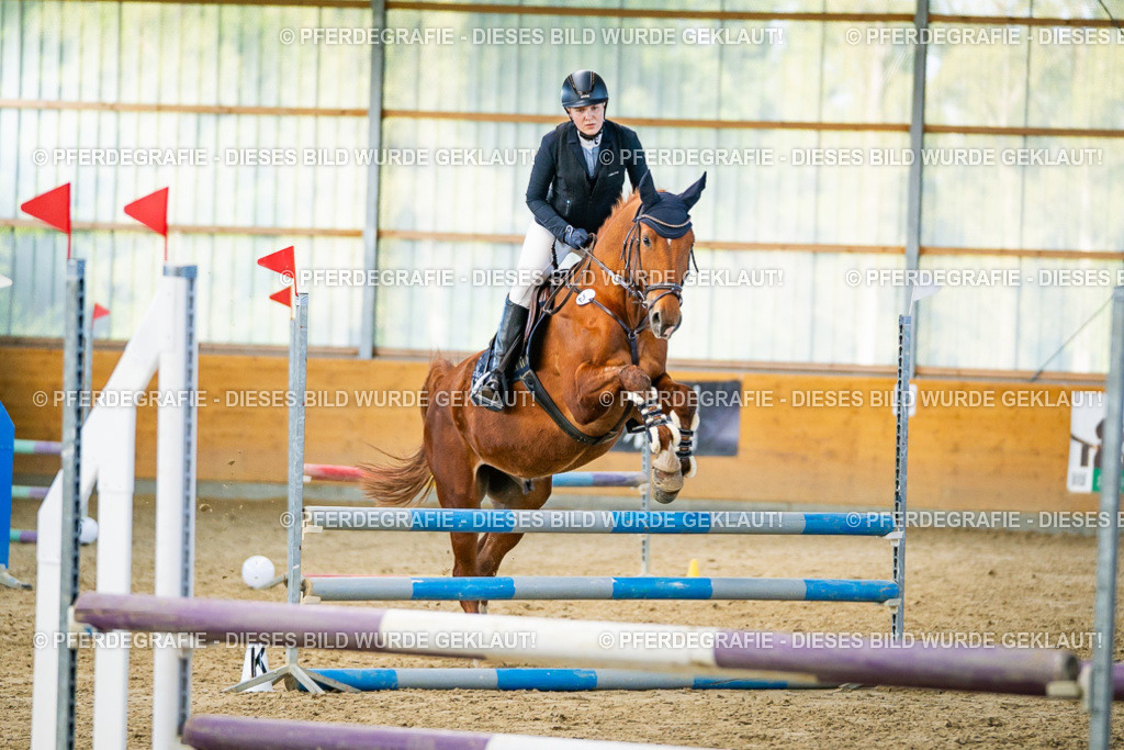 DSC00793 | Pferdegrafie