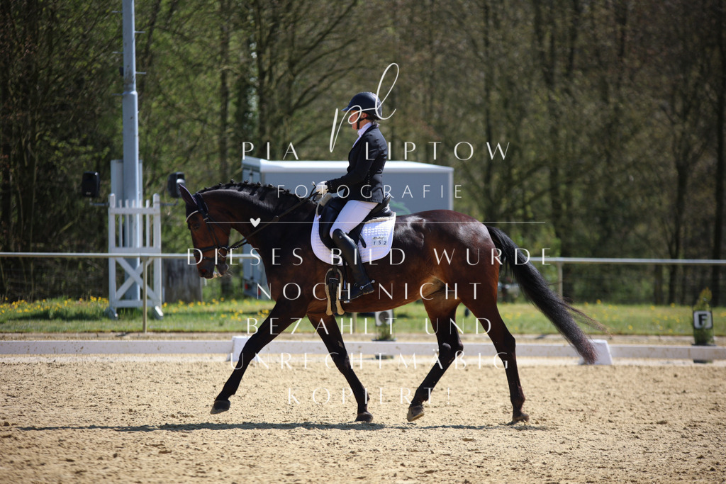 IMGT7439 | pl-fotografie