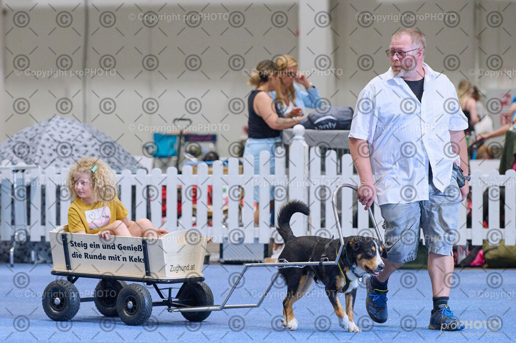 202406_ÖKV-IHA-Tulln24_DSC_4655 | proPHOTO - Realisiert mit Pictrs.com
