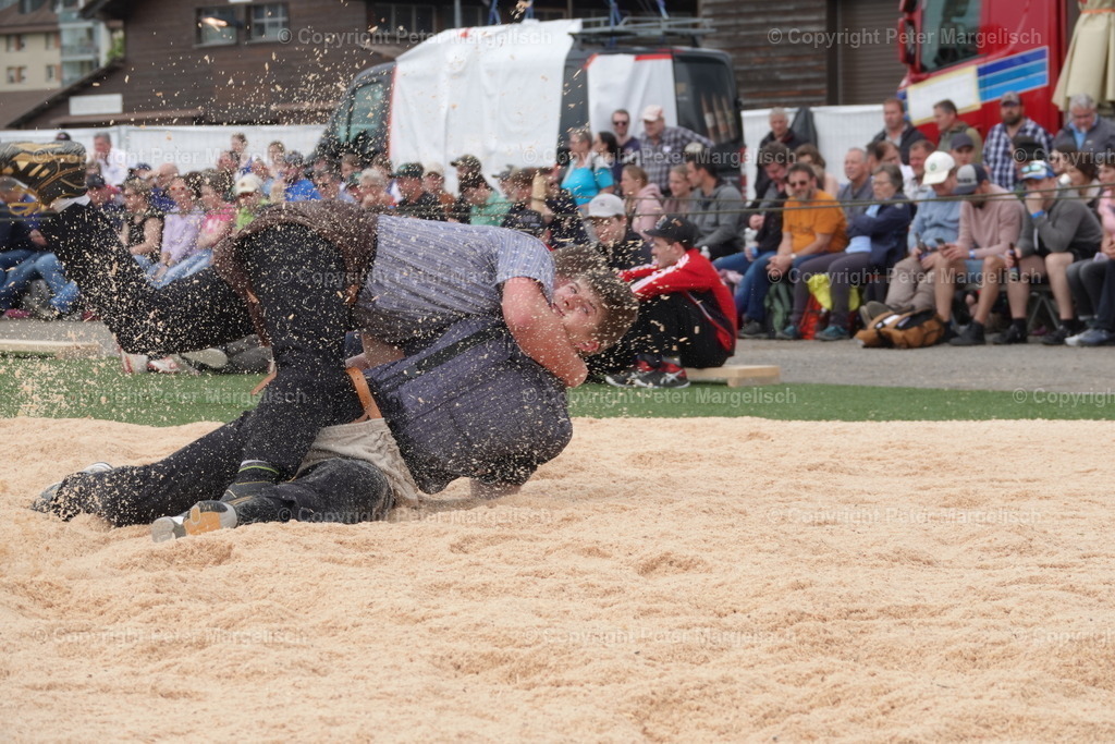 DSC03665 | Schwingen - Realisiert mit Pictrs.com