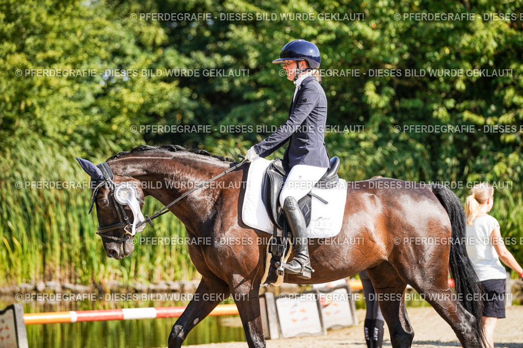 DSC00288 | Pferdegrafie