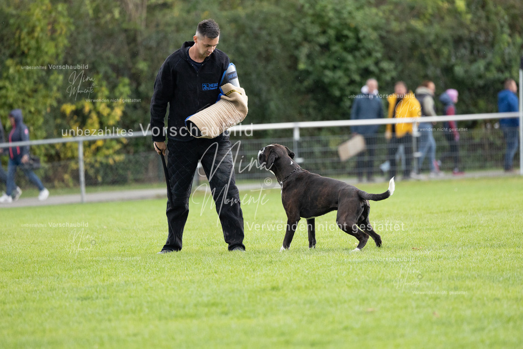 _16A7120 | Einzigartige Fotos von Hunden & Menschen –Actionfotos, Portraits, Vereinsaufnahmen & Paarshootings – authentisch, lebendig & mit Herz.