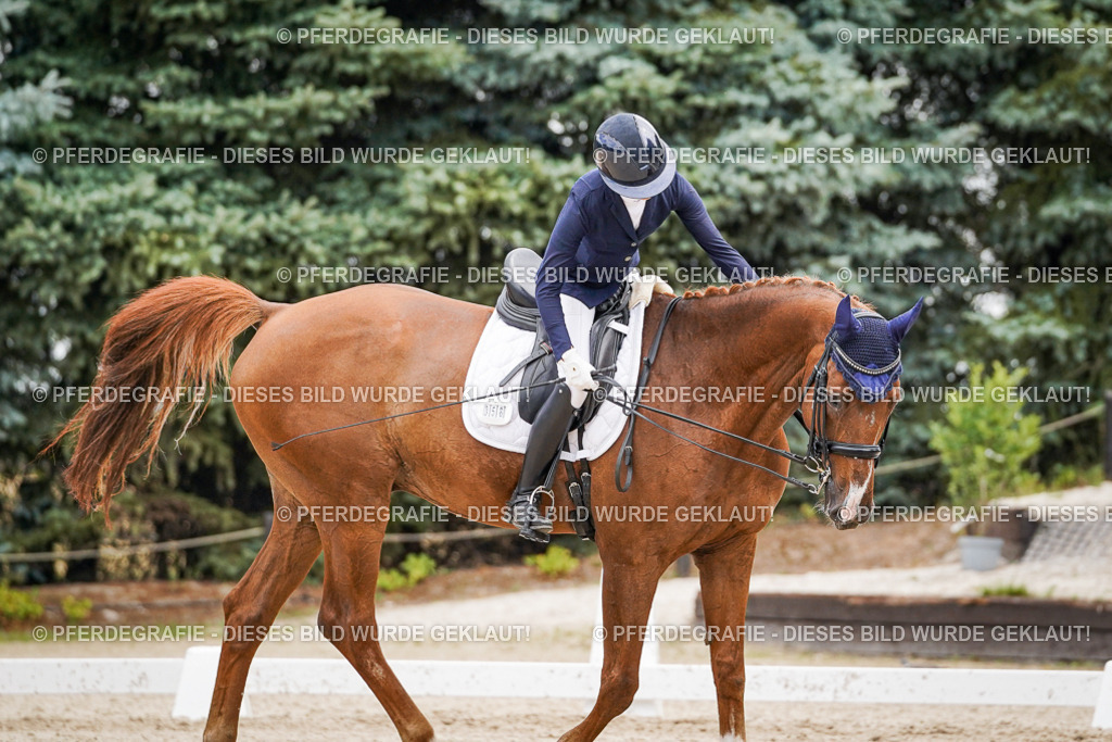 DSC02791 | Pferdegrafie