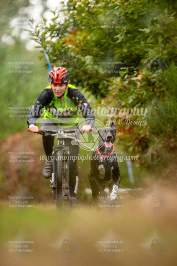 TSB_2023_E5_Bike-37 | PayLife