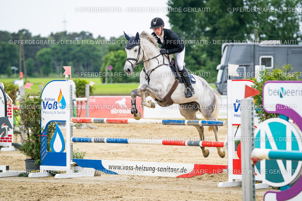 DSC06117 | Pferdegrafie