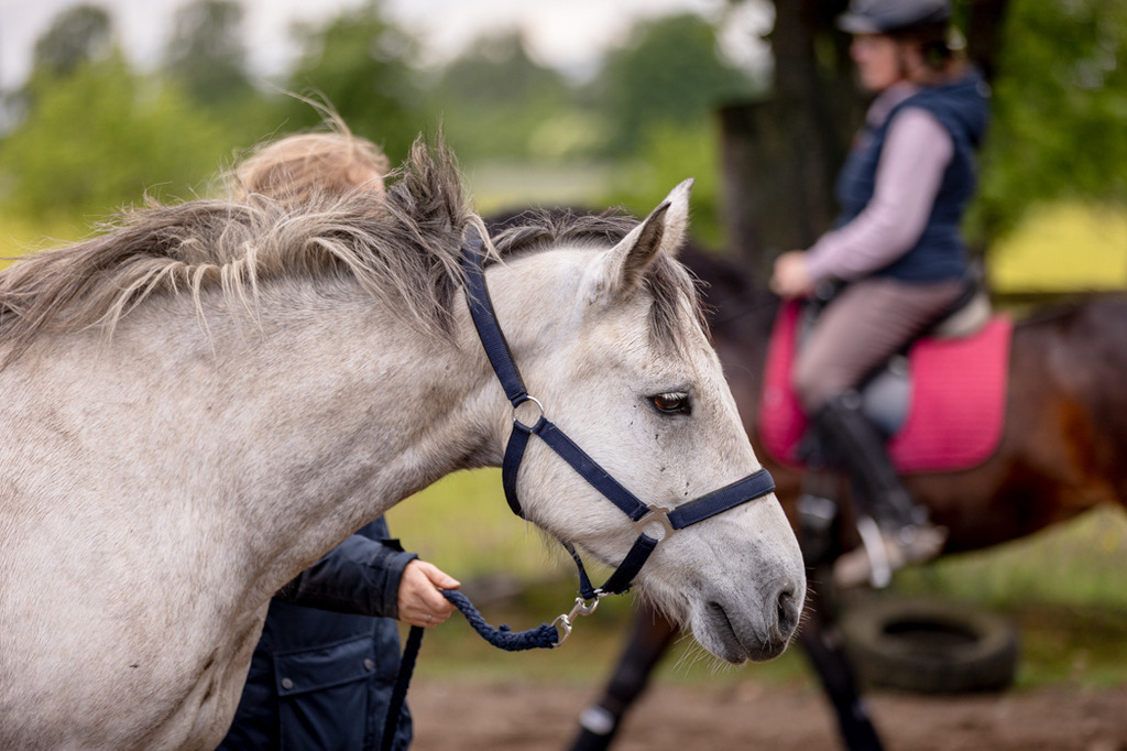 846A0621 | fotosleben - Realized with Pictrs.com