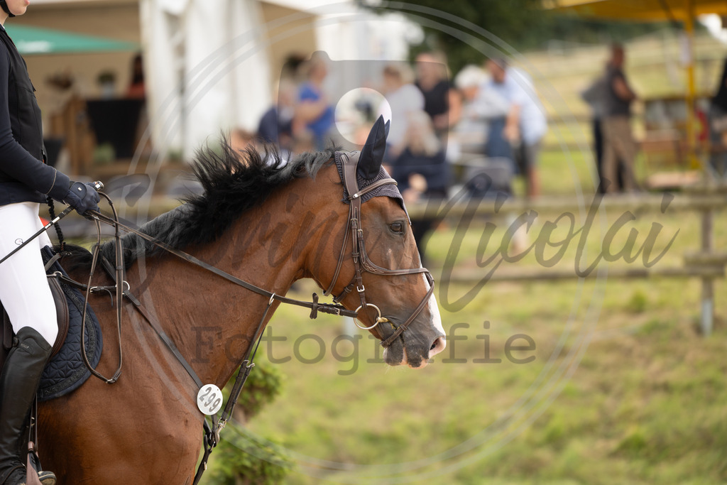 994A9221 | sabrinanicolaifotografie - Realisiert mit Pictrs.com