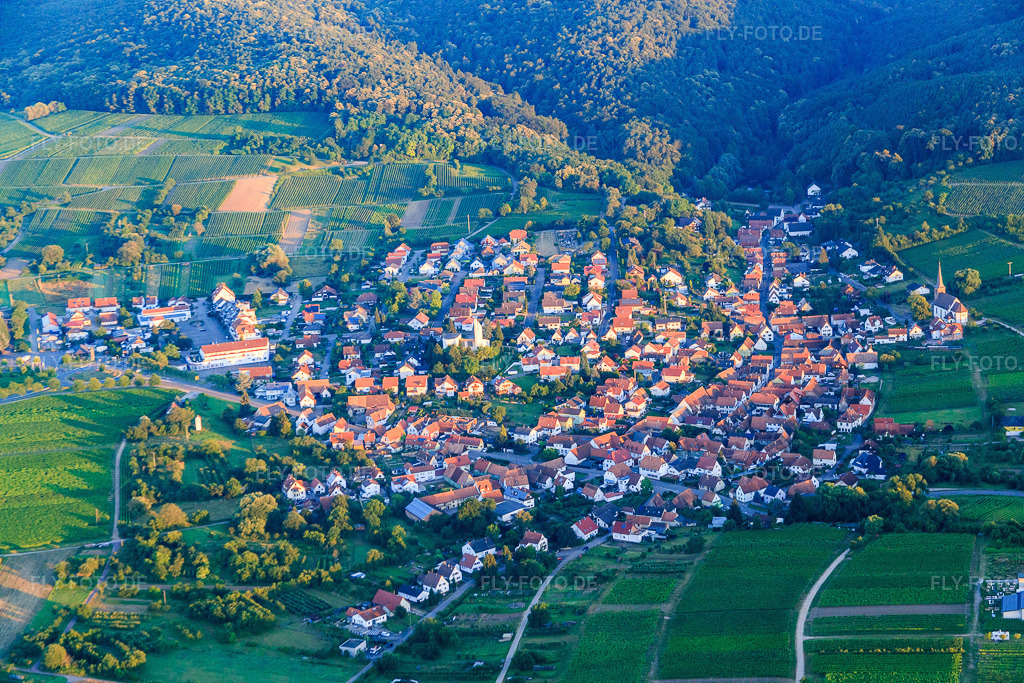 Luftbild: Winzerortansicht aus Osten im Ortsteil Rechtenbach in Schweigen-Rechtenbach im Bundesland Rheinland-Pfalz in Deutschland. Foto: IMG_091520.jpg vom 10.07.2016 durch Werner Riehm/FLY-FOTO.de