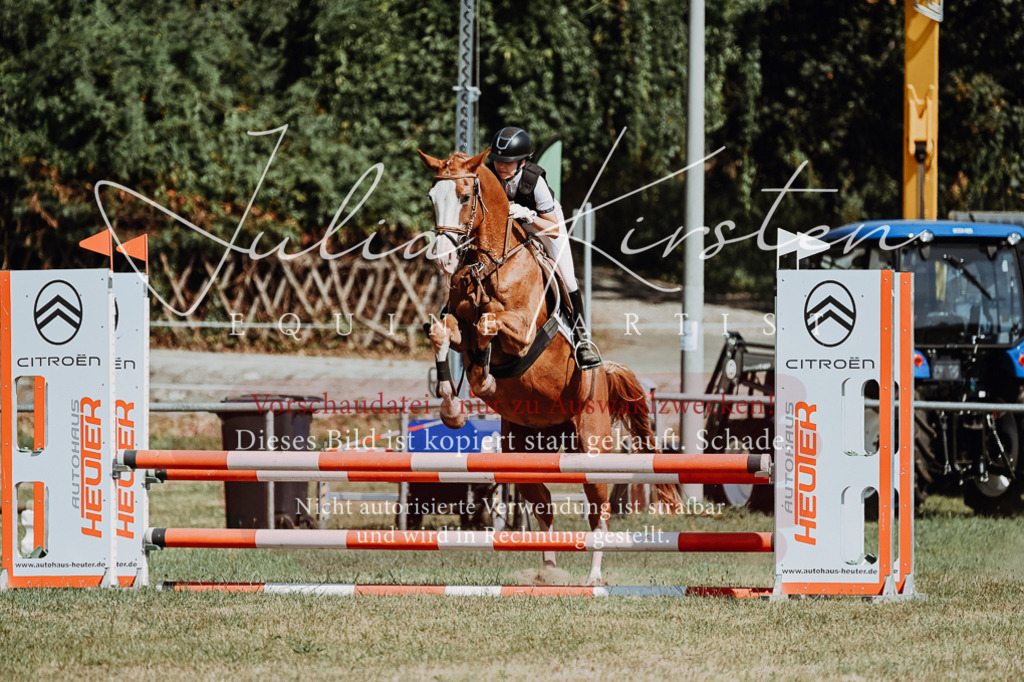 DSC_9525 | Pferde- und Turnierfotografie in Westsachsen. Pferdeportraits, Auftragszeichnungen und intuitive Kunst.