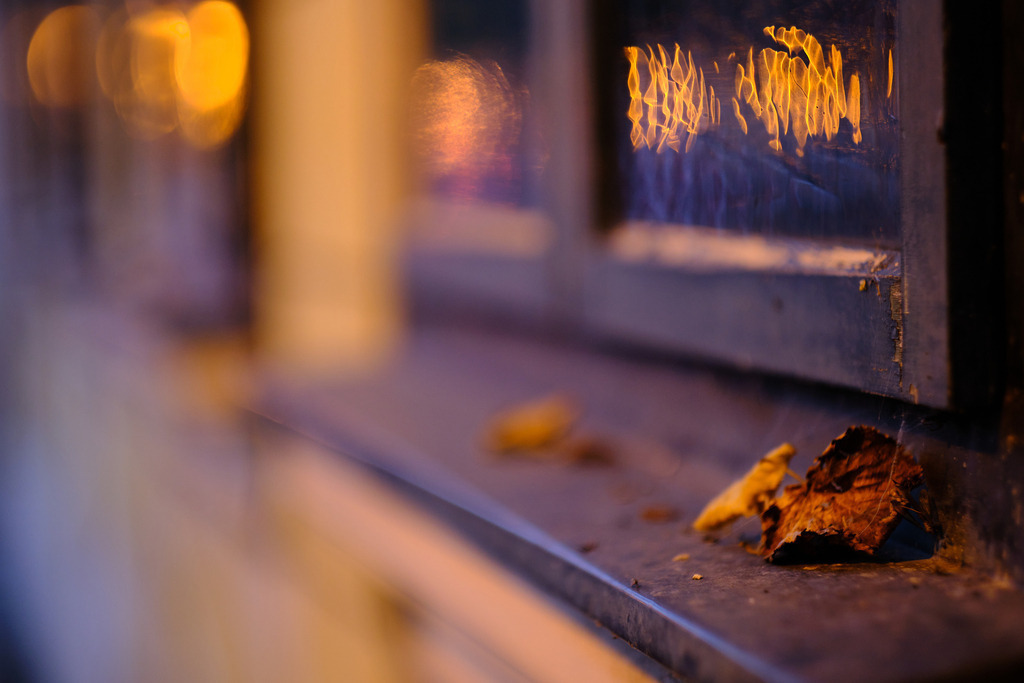 Herbstblätter auf dem Fenstersims | Wien, Austria - October 03, 2023: Herbstblätter auf dem Fenstersims im Abendlicht. - Realisiert mit Pictrs.com